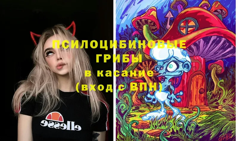 KRAKEN ONION  Алушта  Псилоцибиновые грибы мицелий 